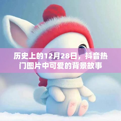 抖音热门图片背景故事揭秘，历史上的十二月二十八日