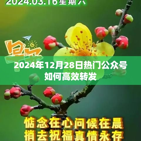 第1436页