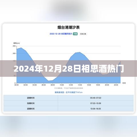 成功案例 第227页