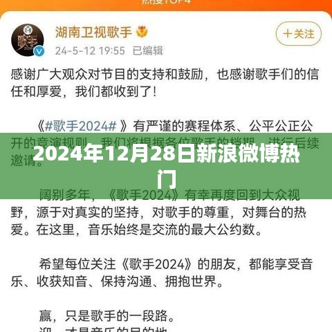 新浪微博热门资讯一网打尽，2024年12月28日热点聚焦