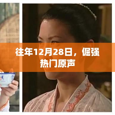 联系我们 第246页