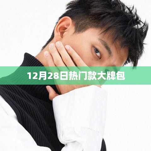12月28日大牌包流行趋势与热门款式盘点