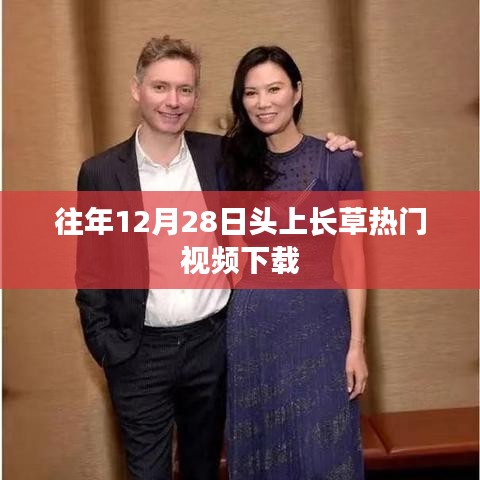 热门视频下载，往年年末头上长草潮流回顾