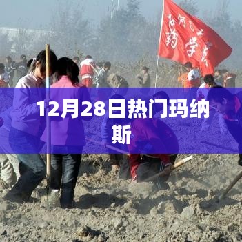 玛纳斯热点事件回顾，最新动态揭秘