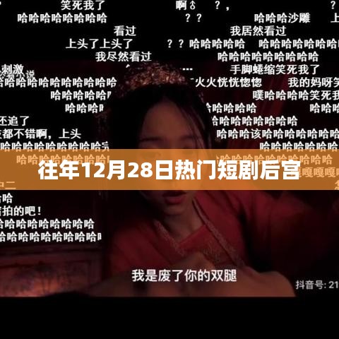 后宫风云，历年十二月二十八日热门短剧回顾