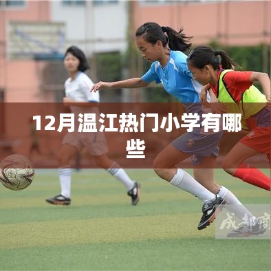 温江12月热门小学榜单揭晓