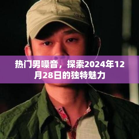 热门男声魅力揭秘，探索未来之声
