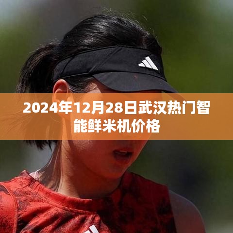 武汉智能鲜米机价格，最新行情（附价格表）