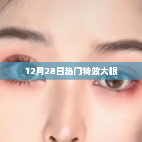 12月28日特效大眼风潮来袭！