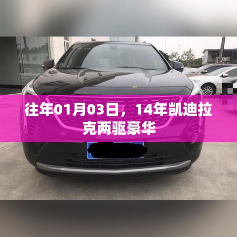 小家碧玉 第3页