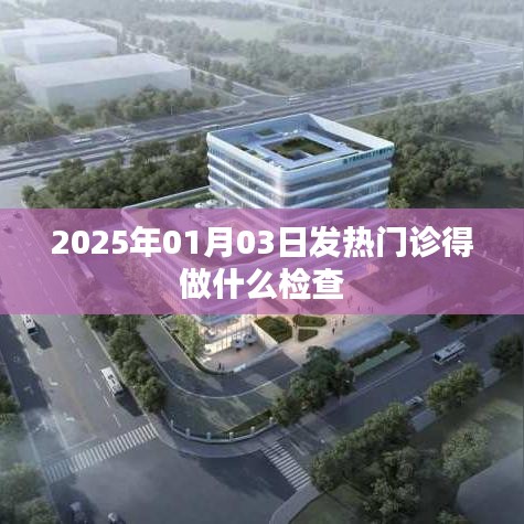 2025年1月3日发热门诊检查项目概览
