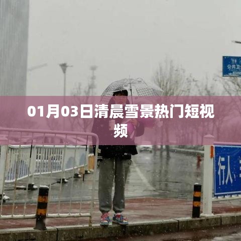 清晨雪景短视频火爆全网
