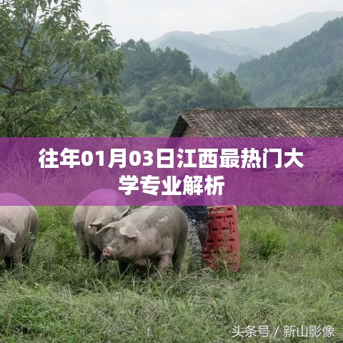 花开无言 第2页