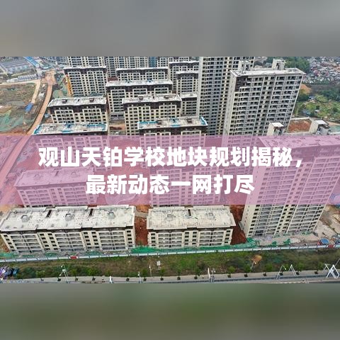 夭桃秾李 第3页
