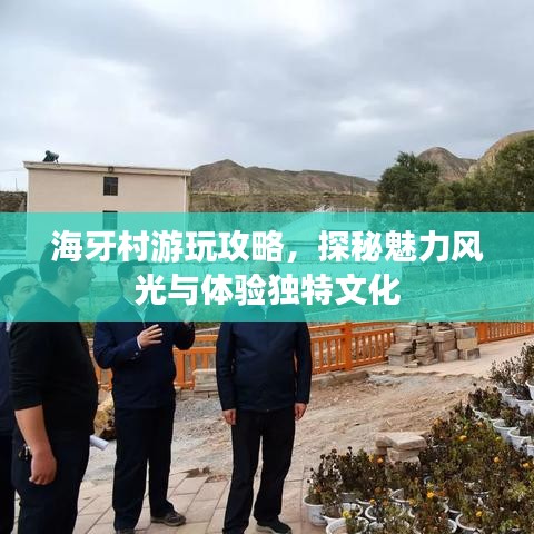 海牙村游玩攻略，探秘魅力风光与体验独特文化