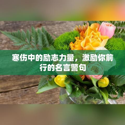 亘古新闻 第3页