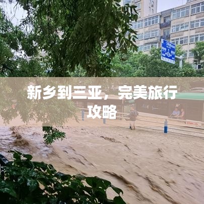 纲挈目张 第2页
