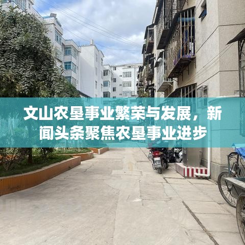 文山农垦事业繁荣与发展，新闻头条聚焦农垦事业进步