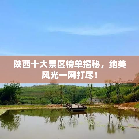 洵属可贵 第3页