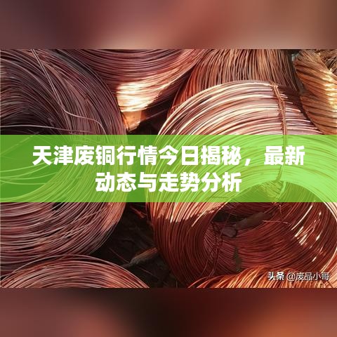 天津废铜行情今日揭秘，最新动态与走势分析