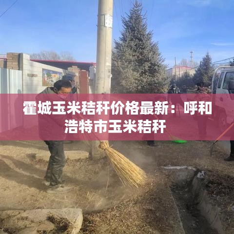 霍城玉米秸秆价格最新：呼和浩特市玉米秸秆 