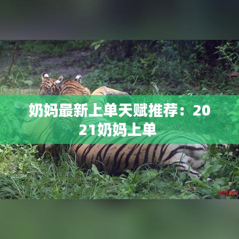 奶妈最新上单天赋推荐：2021奶妈上单 