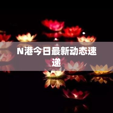 N港今日最新动态速递