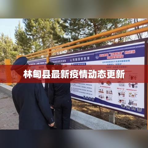 林甸县最新疫情动态更新