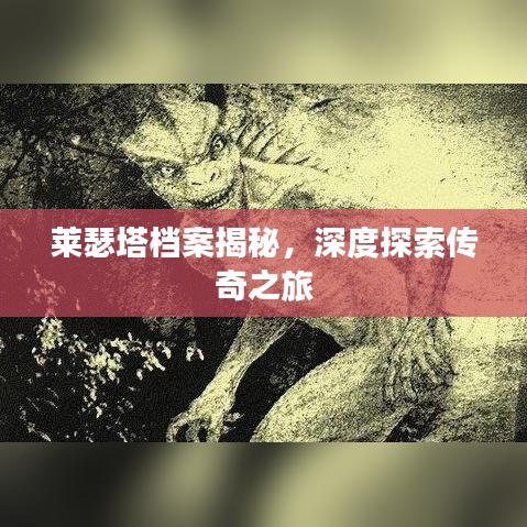 莱瑟塔档案揭秘，深度探索传奇之旅