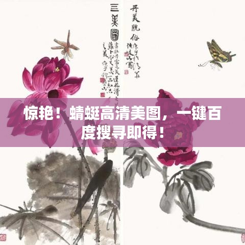 惊艳！蜻蜓高清美图，一键百度搜寻即得！