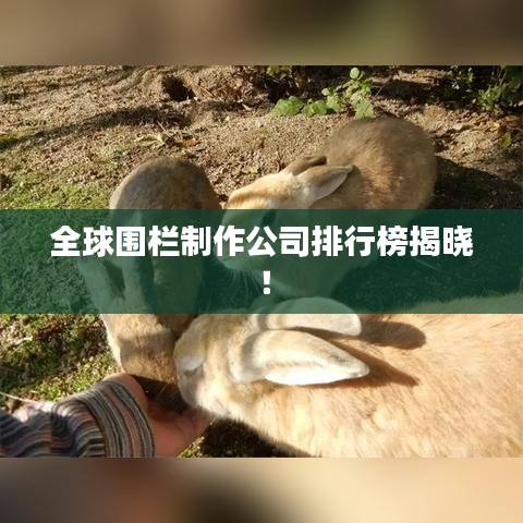 全球围栏制作公司排行榜揭晓！
