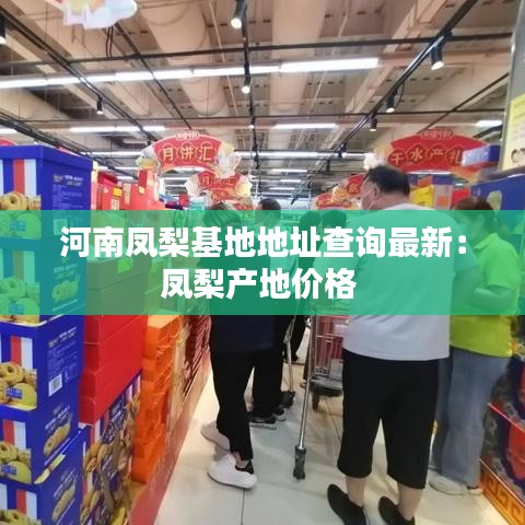 河南凤梨基地地址查询最新：凤梨产地价格 