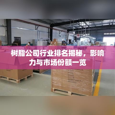 树脂公司行业排名揭秘，影响力与市场份额一览