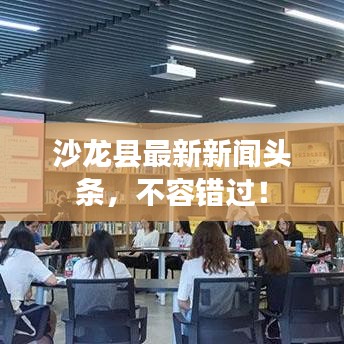 沙龙县最新新闻头条，不容错过！