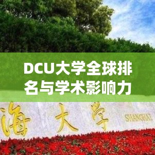 DCU大学全球排名与学术影响力解析