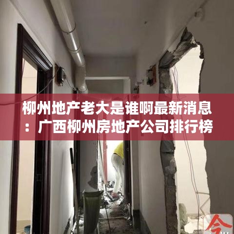柳州地产老大是谁啊最新消息：广西柳州房地产公司排行榜 