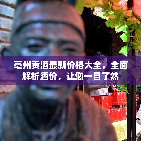 亳州贡酒最新价格大全，全面解析酒价，让您一目了然