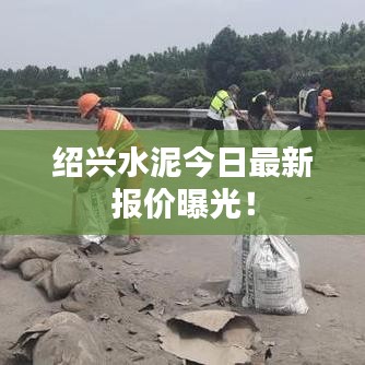 绍兴水泥今日最新报价曝光！