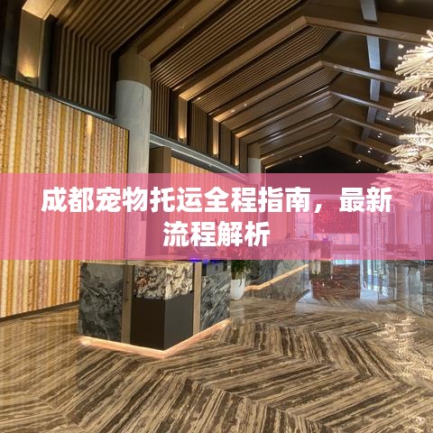 成都宠物托运全程指南，最新流程解析