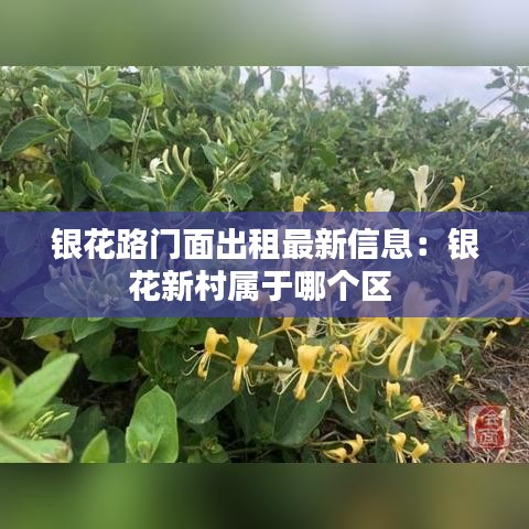 银花路门面出租最新信息：银花新村属于哪个区 