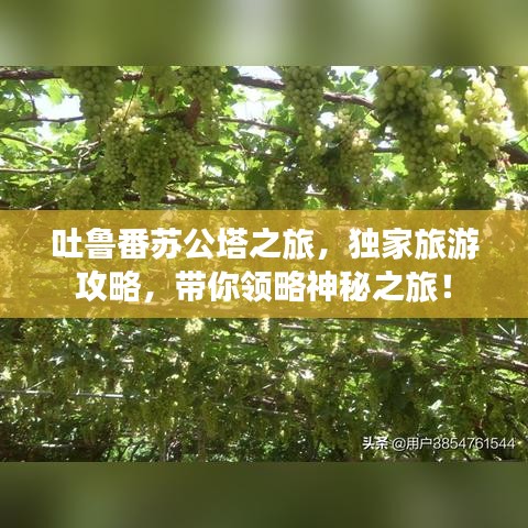 吐鲁番苏公塔之旅，独家旅游攻略，带你领略神秘之旅！