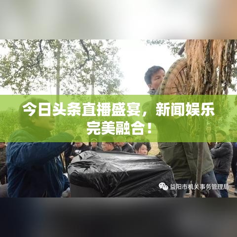 今日头条直播盛宴，新闻娱乐完美融合！