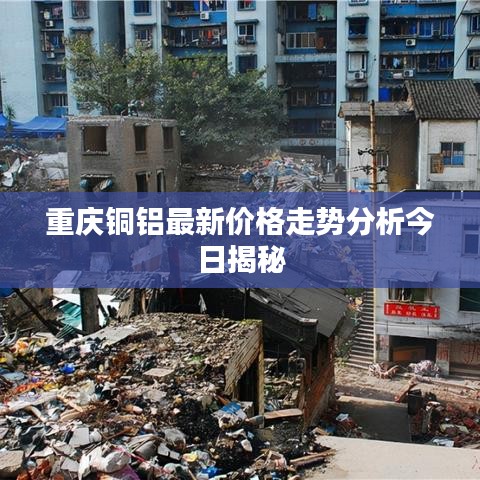 衣不兼采 第2页