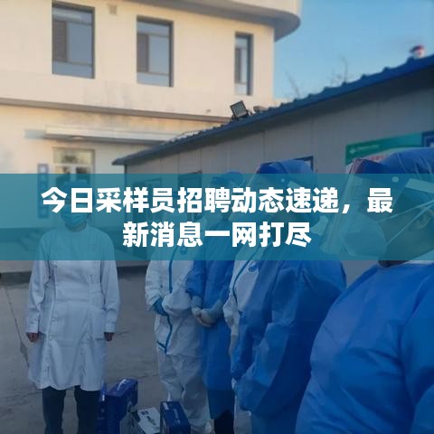 今日采样员招聘动态速递，最新消息一网打尽
