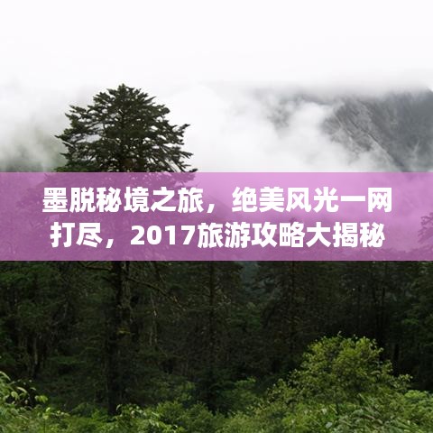 莺啼鸟啭 第2页