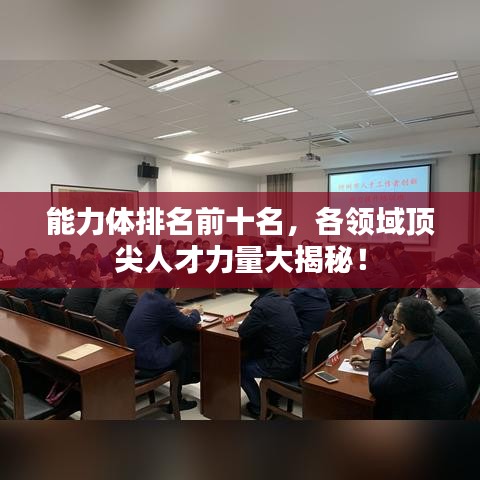 能力体排名前十名，各领域顶尖人才力量大揭秘！