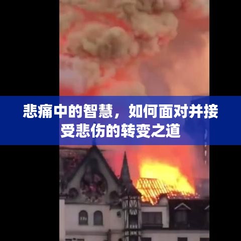 攀高结贵 第2页