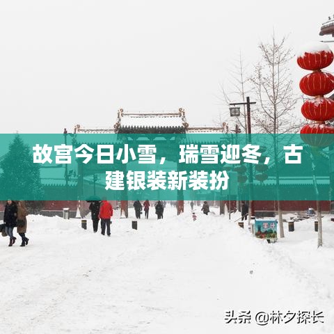 省吃细用 第2页