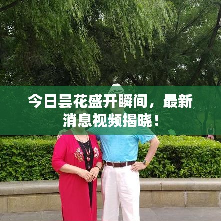 钗荆裙布 第2页