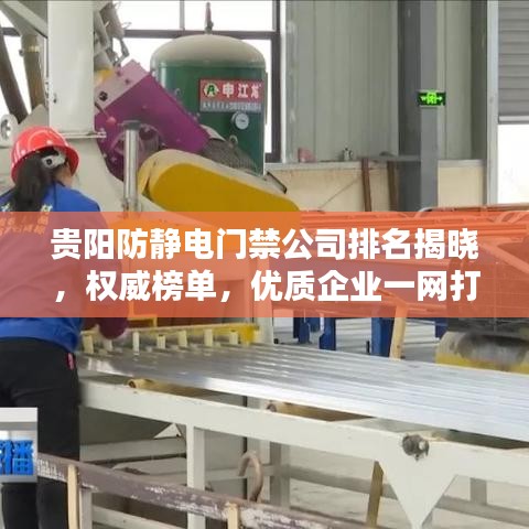 贵阳防静电门禁公司排名揭晓，权威榜单，优质企业一网打尽！